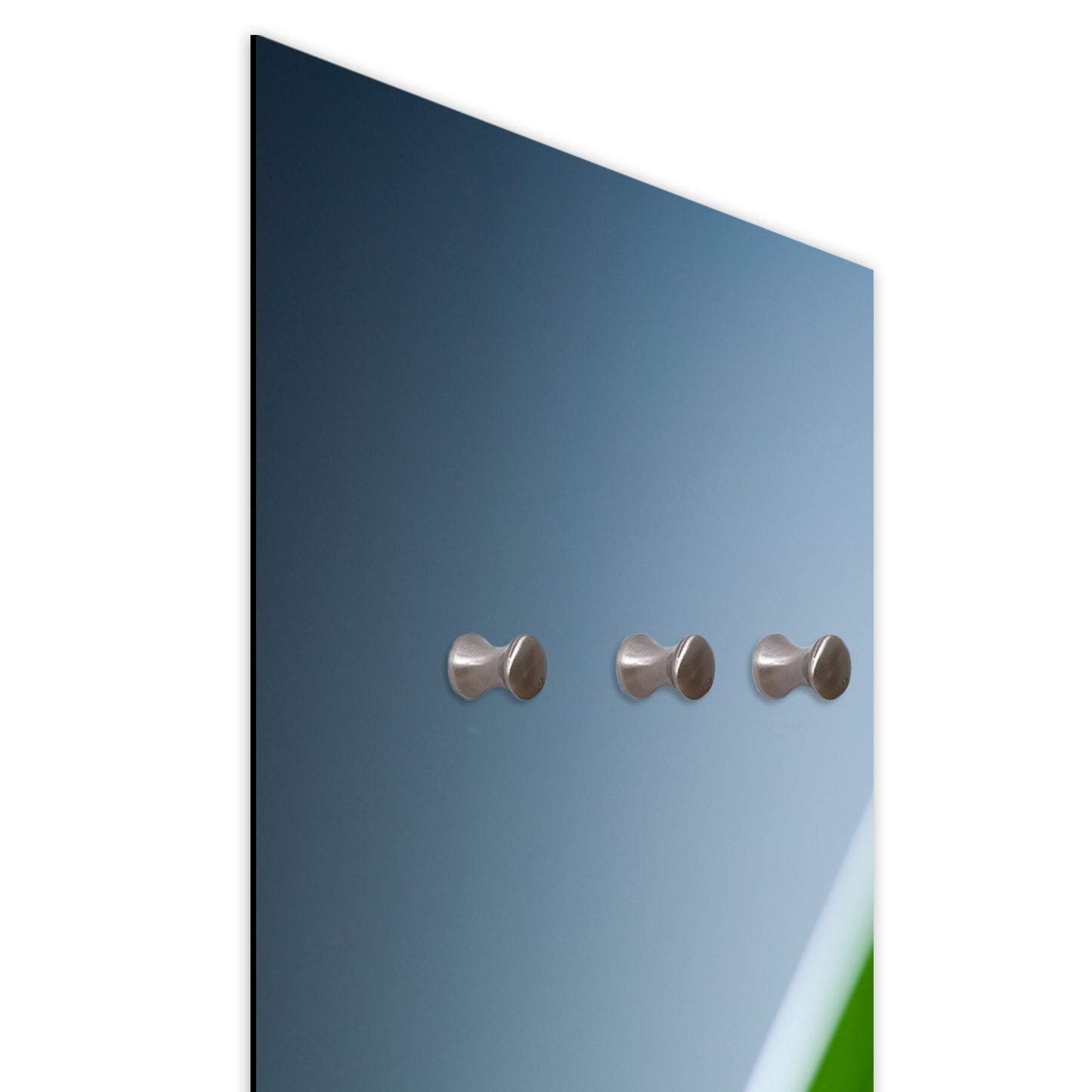 Dekoratyvinė Kabykla Varlytė