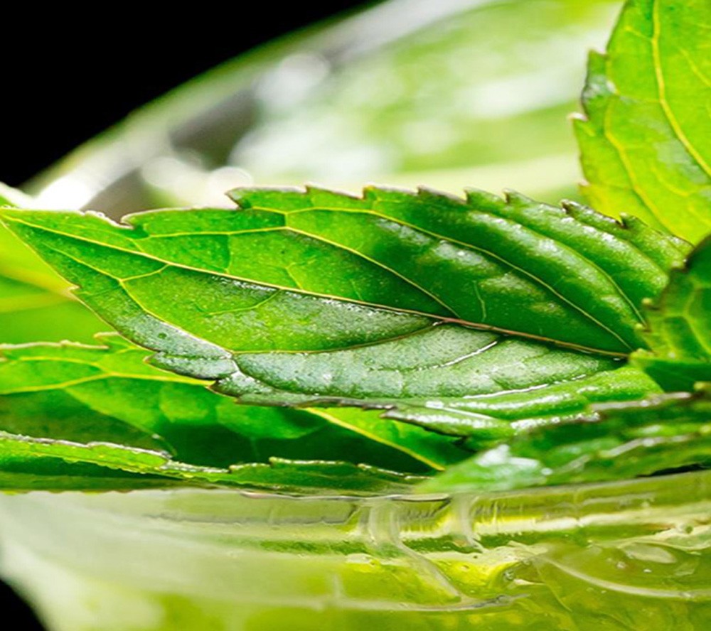 4-ių Dalių Kambario Pertvara Gaivinanti Mėta