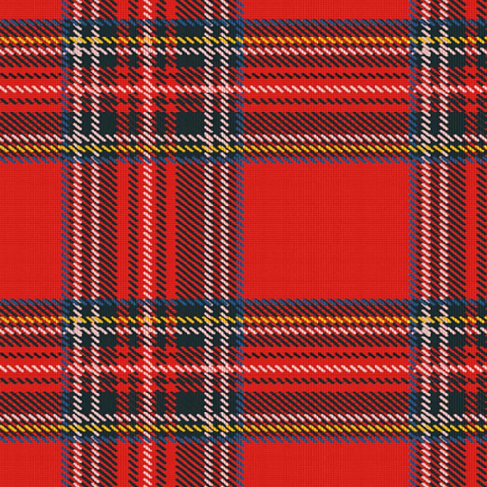 4-ių Dalių Kambario Pertvara Checkered