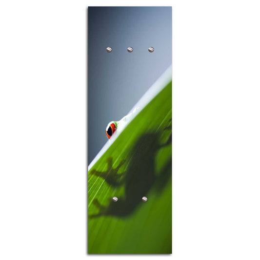 Hanger, Frog on a leaf