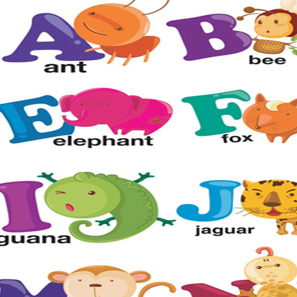 3-ių Dalių Kambario Pertvara Mokomės Abėcėlės 360