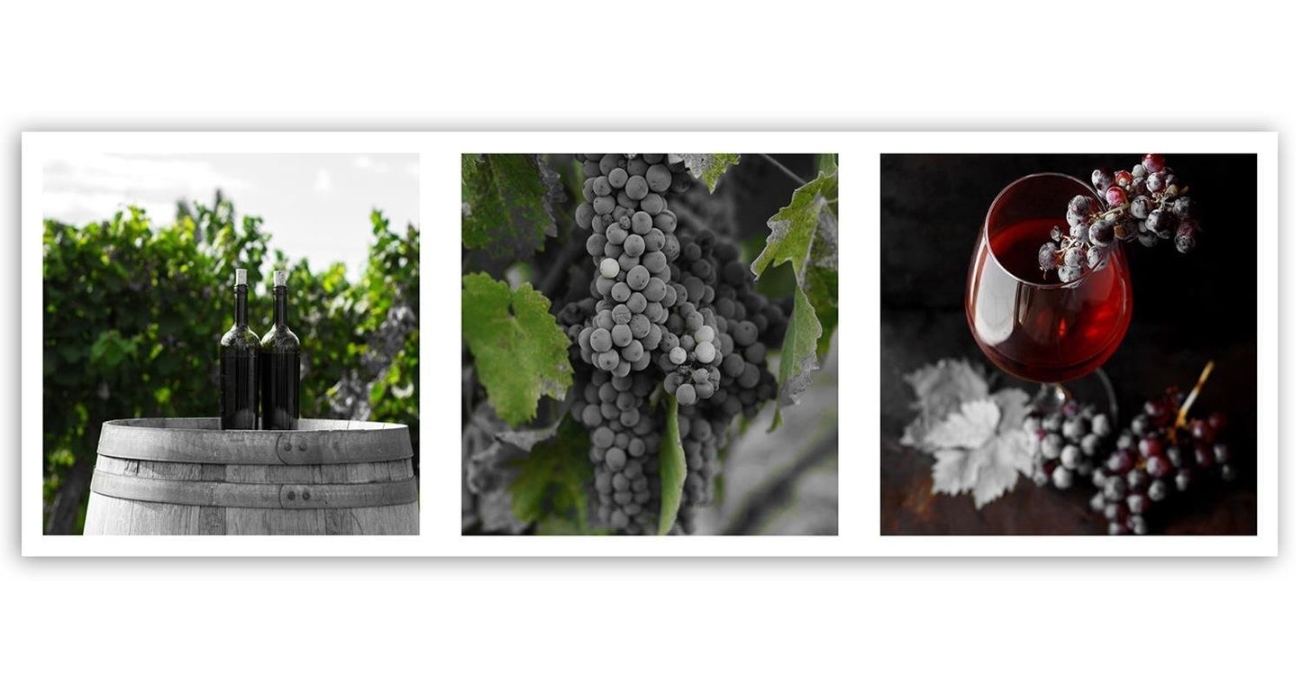 Paveikslas Ant Drobės Vynuogyno Gėriai