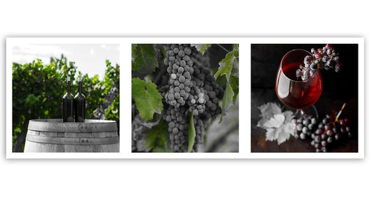 Paveikslas Ant Drobės Vynuogyno Gėriai