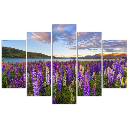 Paveikslai Ant Drobės Levandų Kvapas