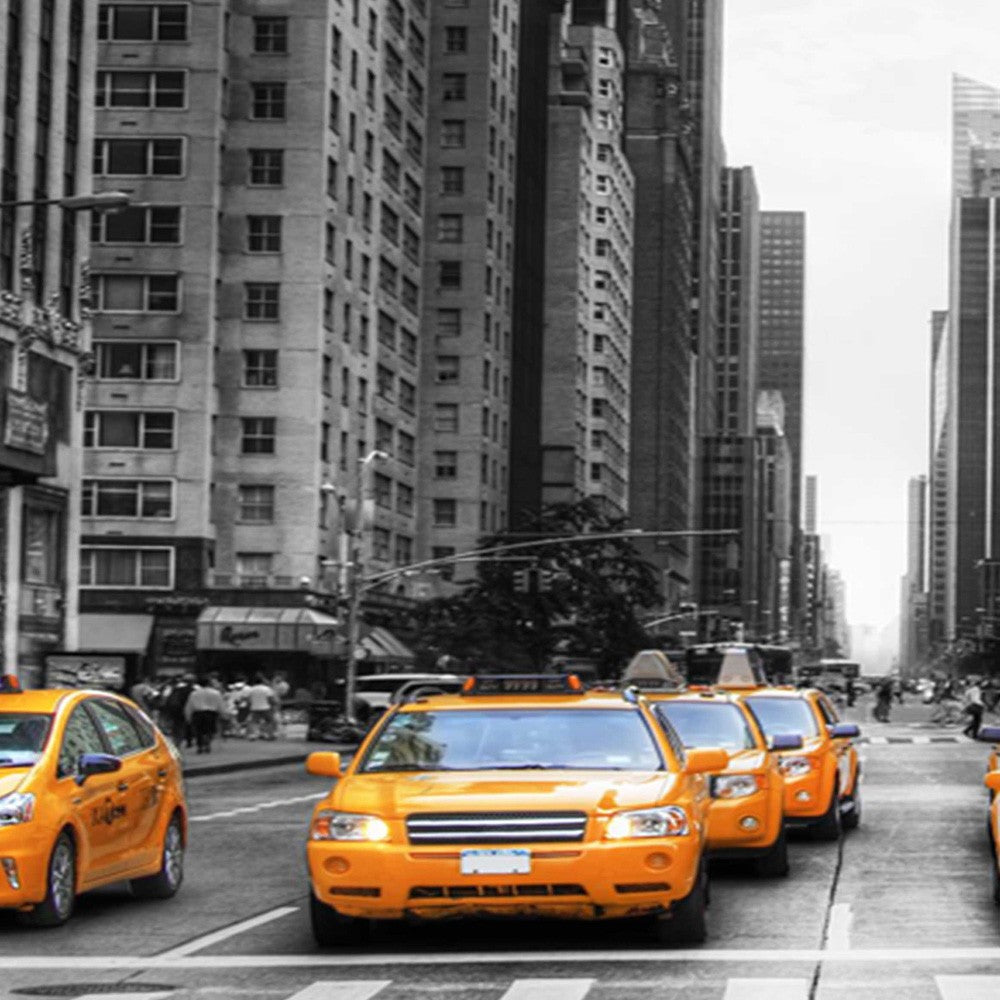 5-ių Dalių Kambario Pertvara Niujorko Taxi