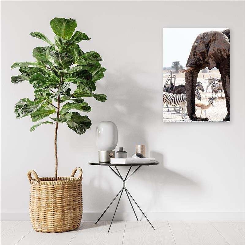 Paveikslas Ant Drobės Afrikos Gyvūnai
