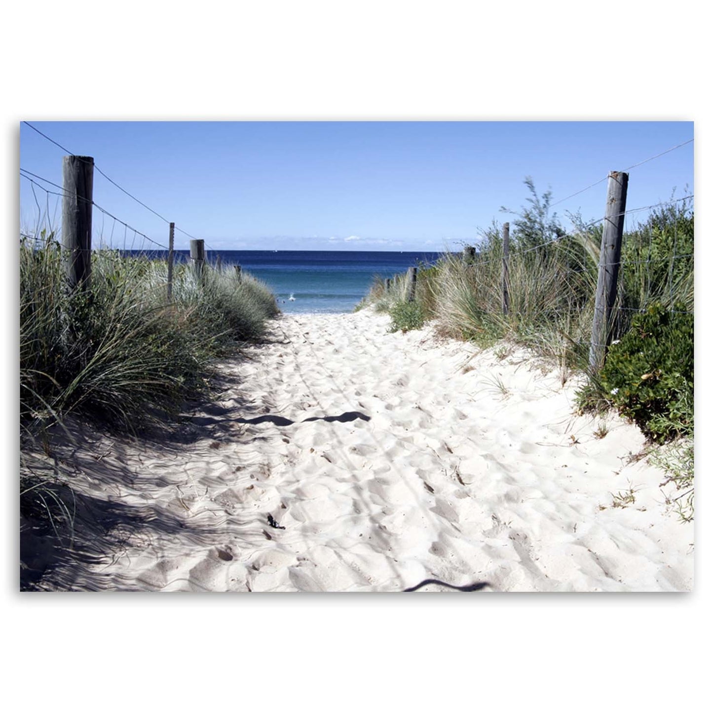 Paveikslas Ant Drobės Takas Kopose