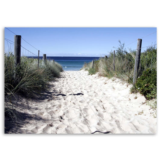 Paveikslas Ant Drobės Takas Kopose