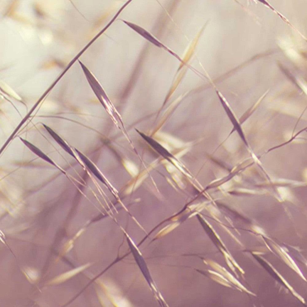 5-ių Dalių Kambario Pertvara Saulės Spinduliuose