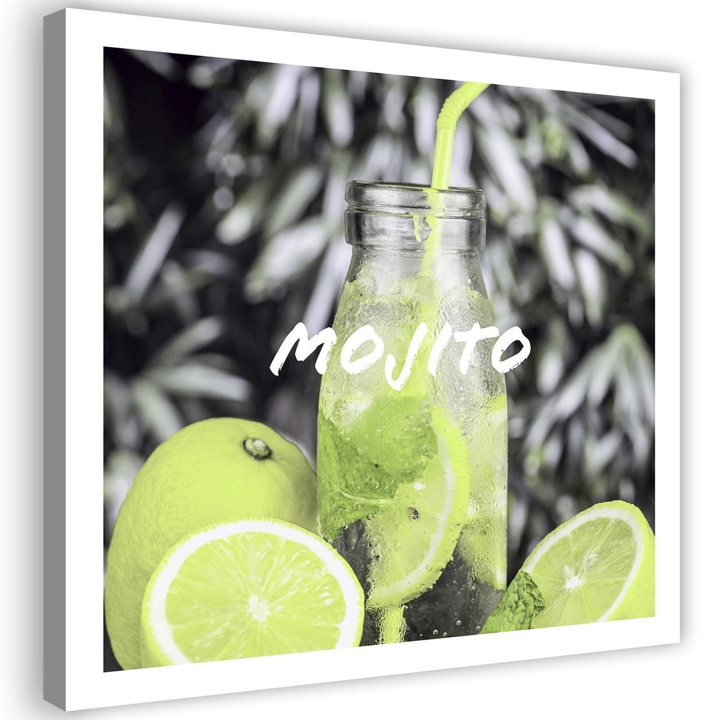 Canvas, Mojito