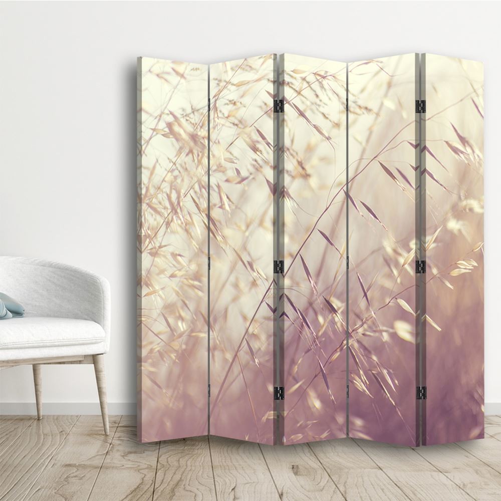 5-ių Dalių Kambario Pertvara Saulės Spinduliuose