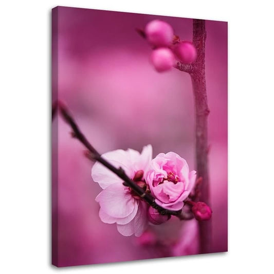 Canvas, Pink flower and buds on a branch