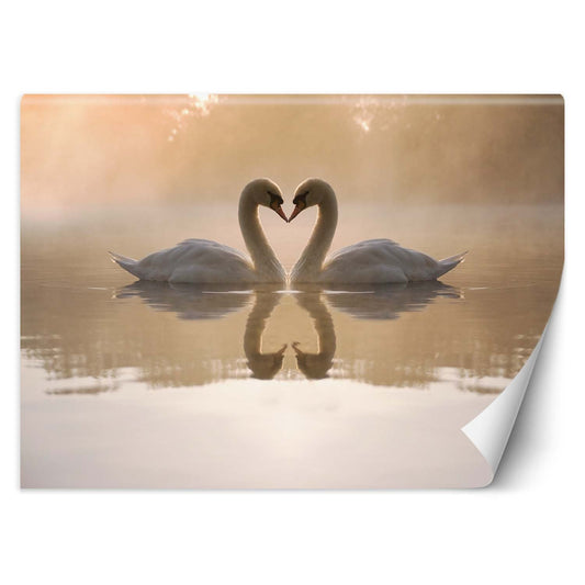 Wallpaper, Swans in love