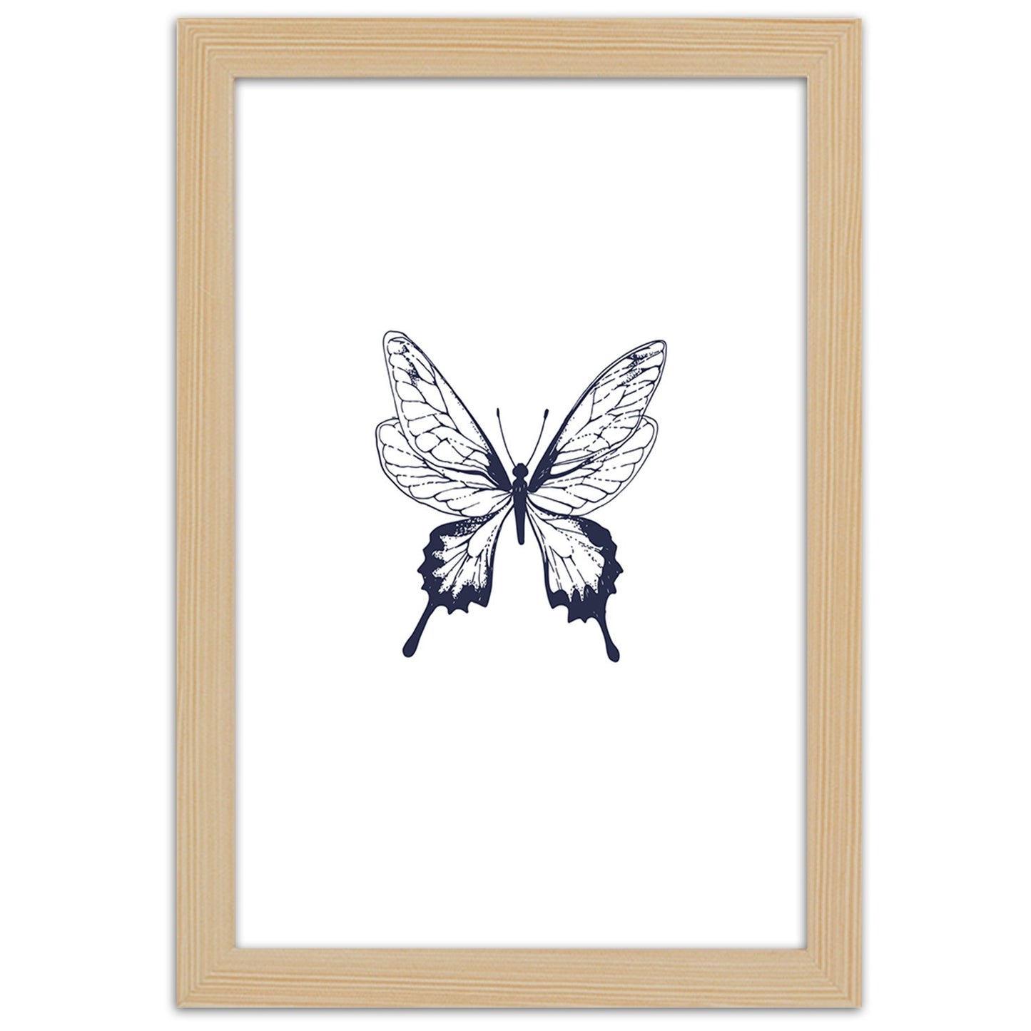 Picture in frame, Drawn butterfly