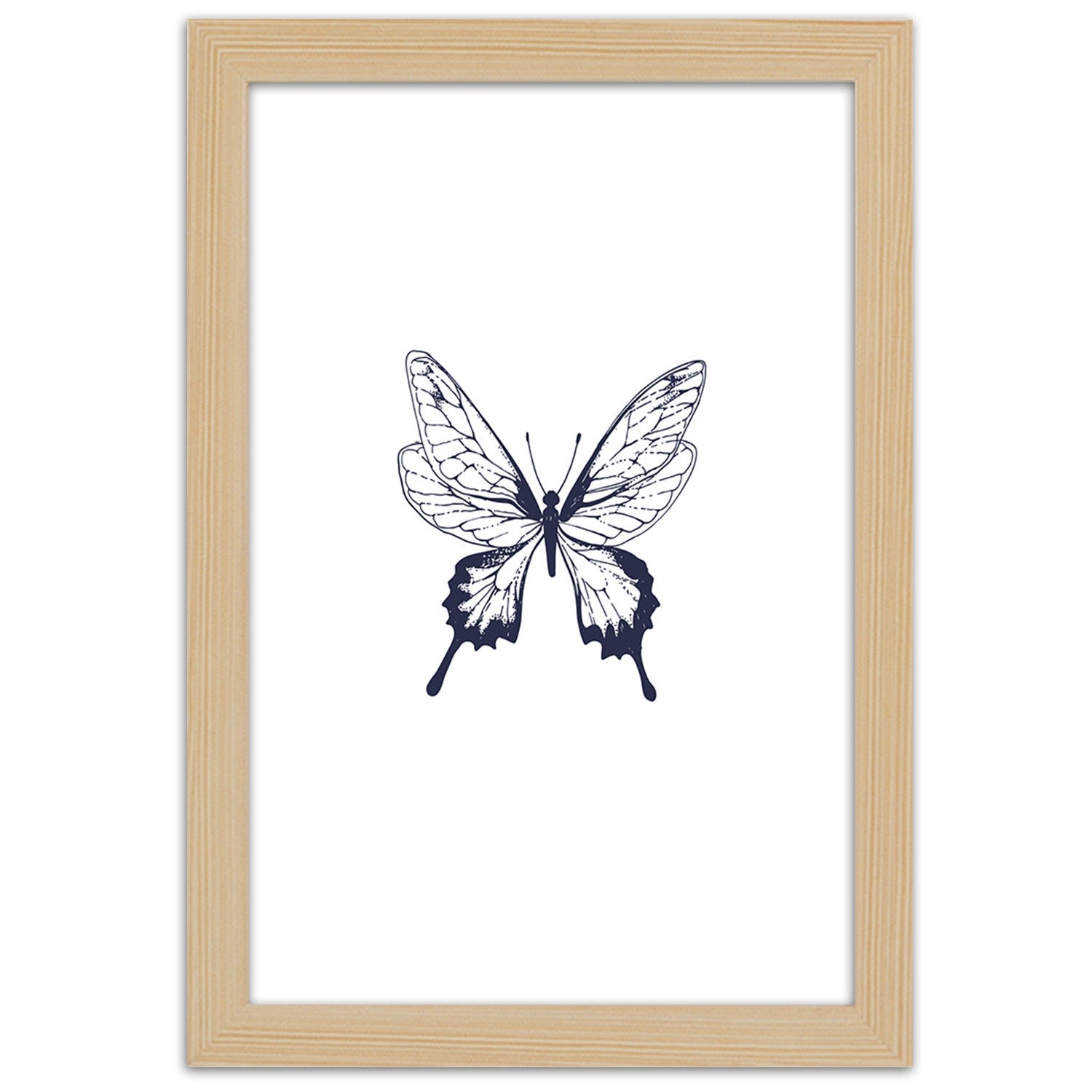 Picture in frame, Drawn butterfly