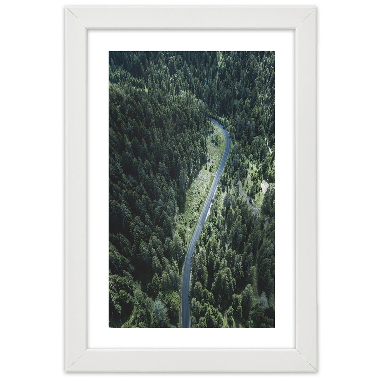 Picture in frame, Road in the forest