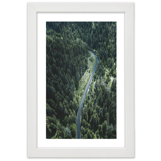 Picture in frame, Road in the forest