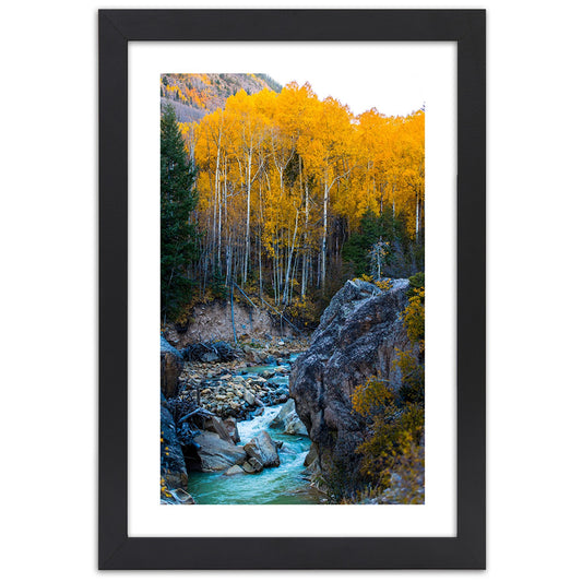 Picture in frame, A stream in the forest