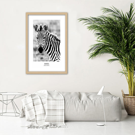 Paveikslas Smalsusis Zebras