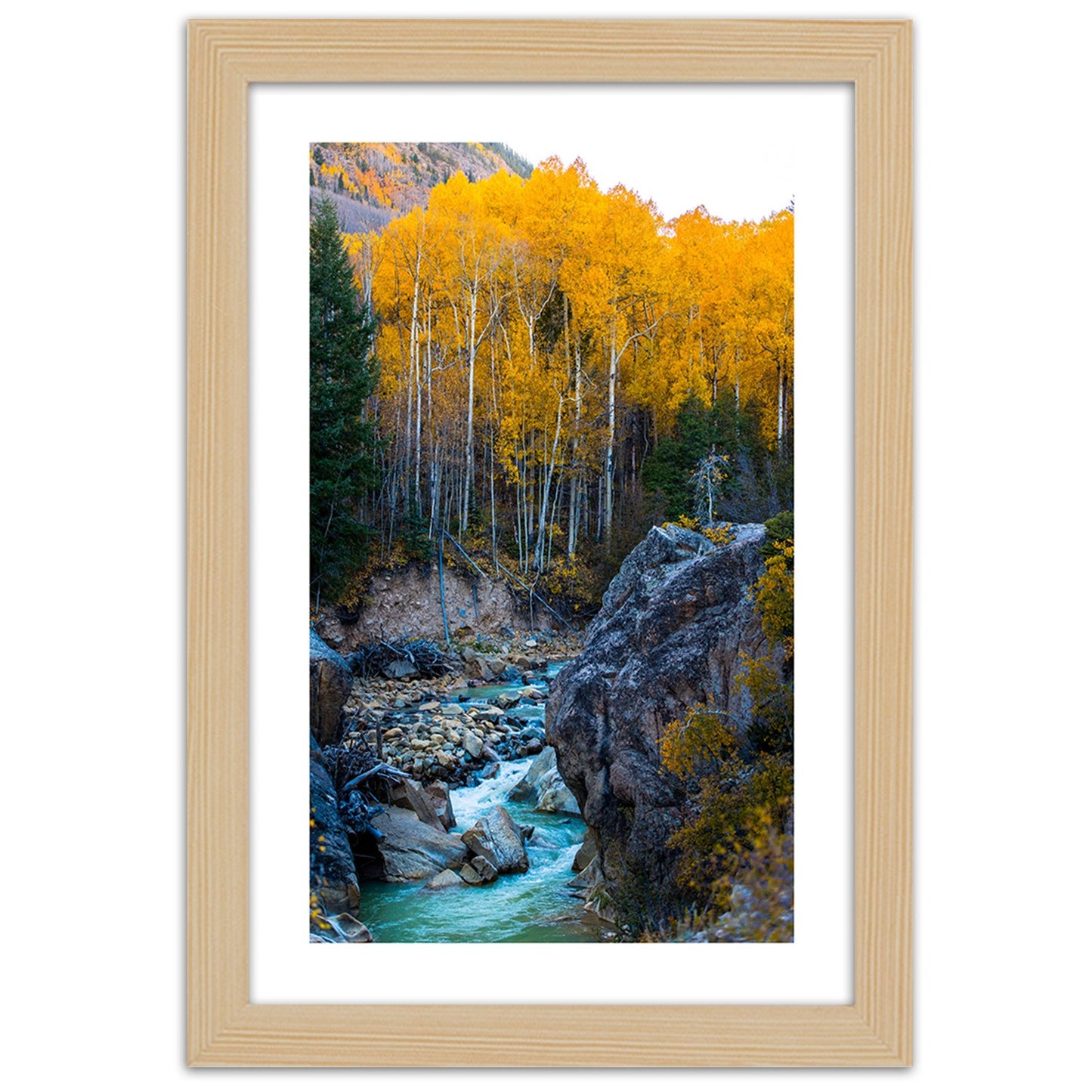 Picture in frame, A stream in the forest