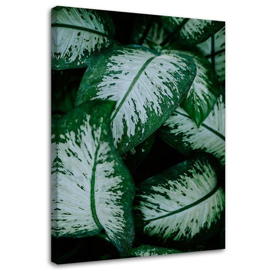 Canvas, Tropical leaves white and green