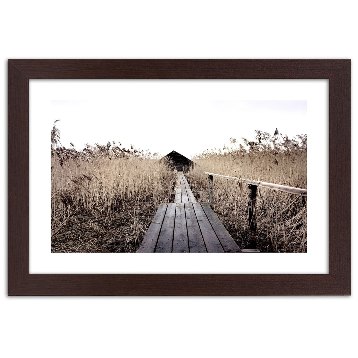 Picture in frame, Old pier in high reeds