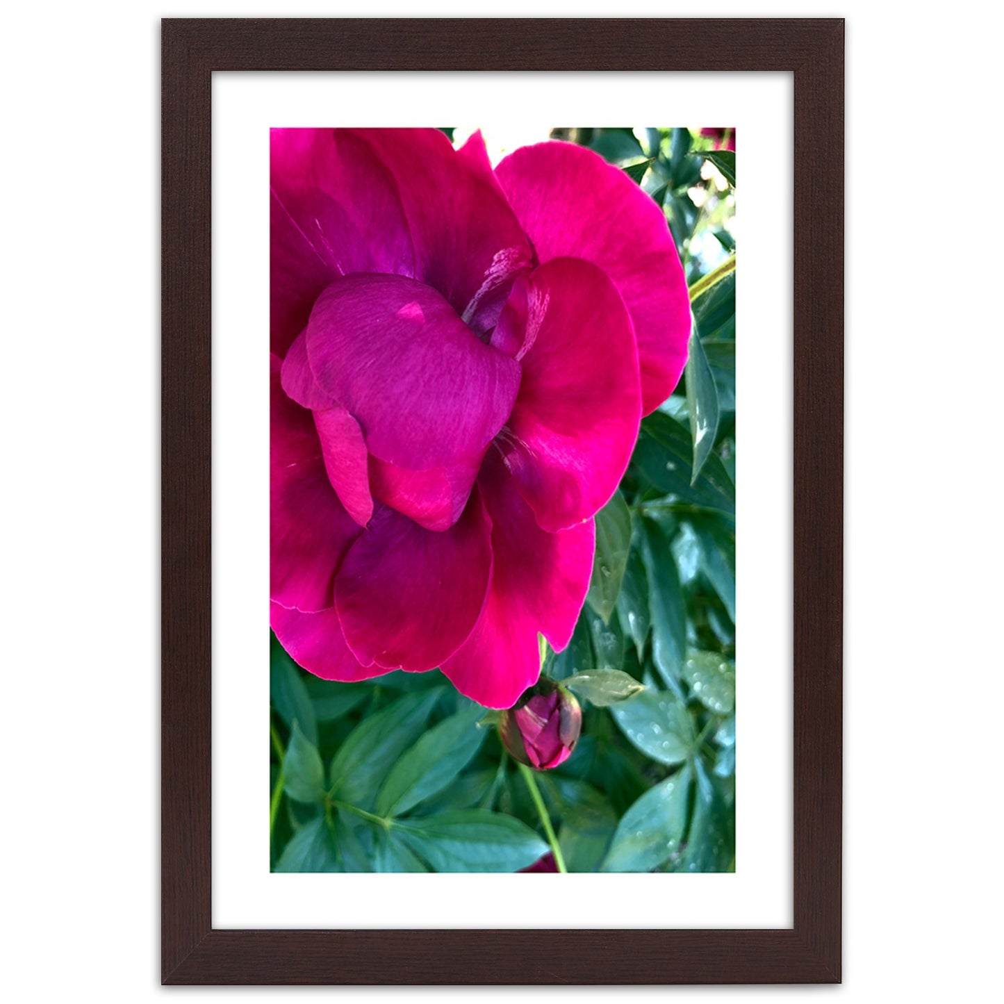 Picture in frame, Pink large flower