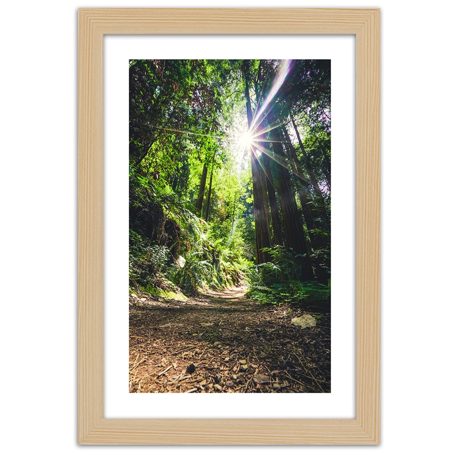 Picture in frame, Path in a dense forest