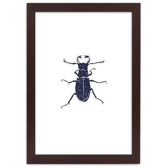 Picture in frame, Black beetle