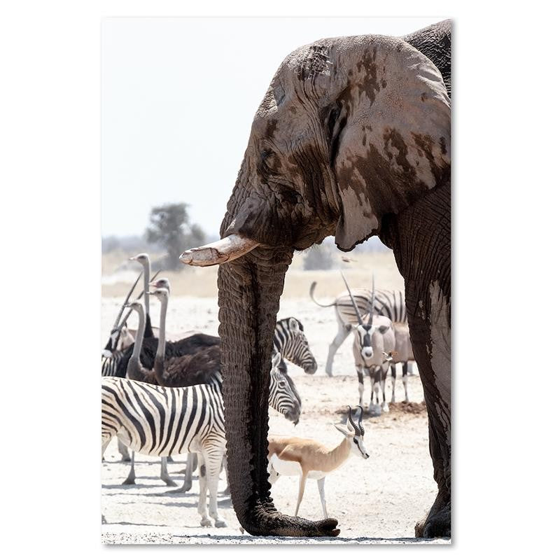 Paveikslas Ant Drobės Afrikos Gyvūnai