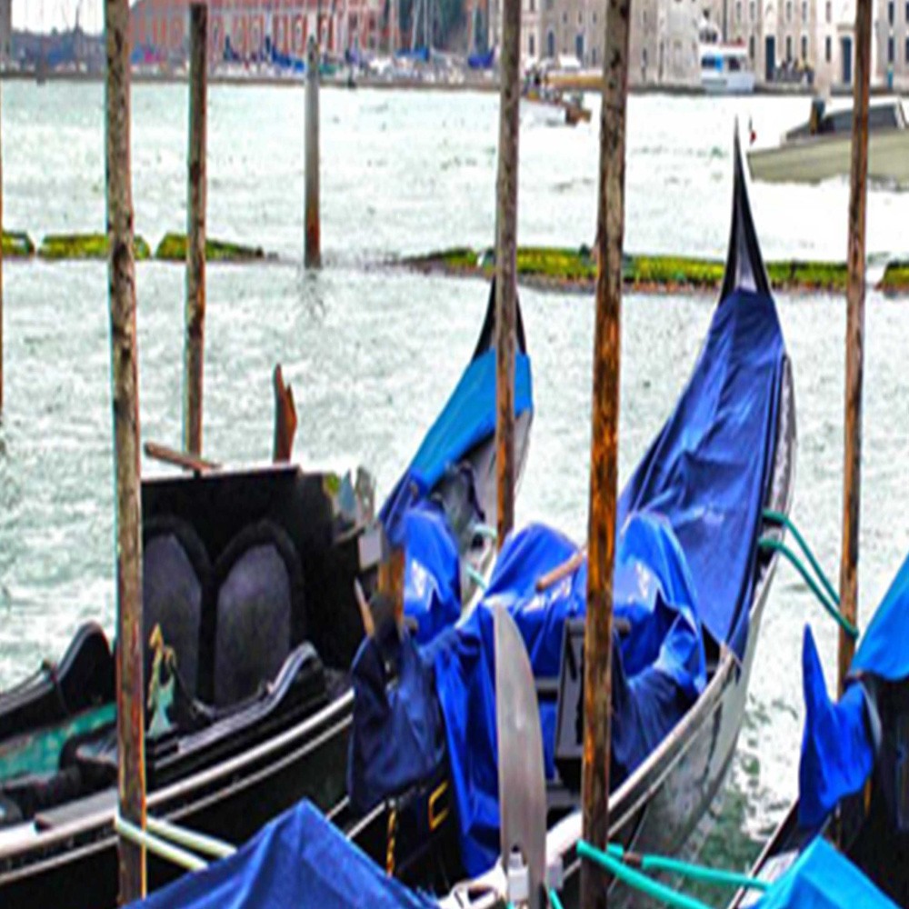 5-ių Dalių Kambario Pertvara Venice R. Kulik