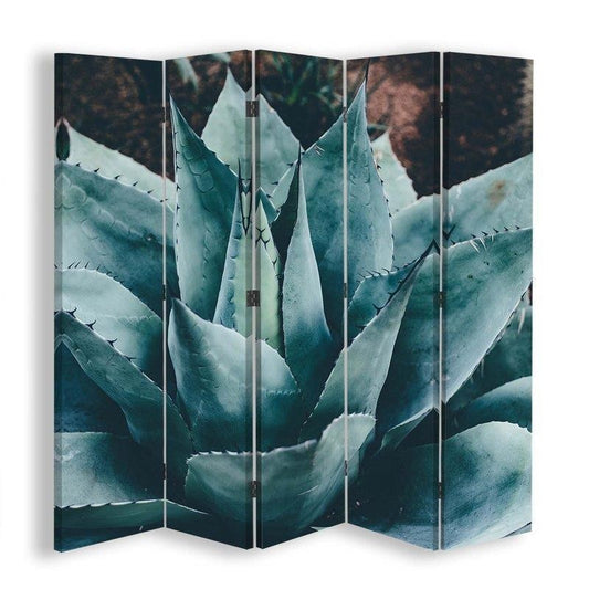 Room divider, A luscious agave