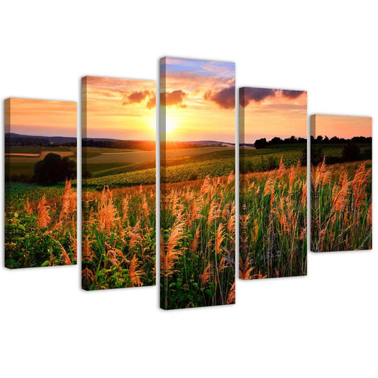 Canvas, Sunset over a meadow