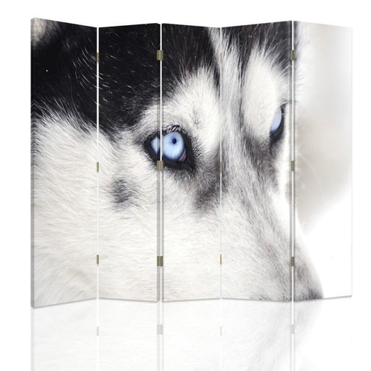Room divider, Siberian husky