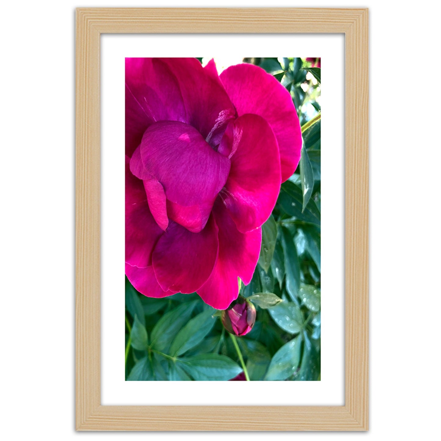 Picture in frame, Pink large flower