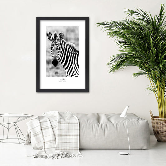 Paveikslas Smalsusis Zebras