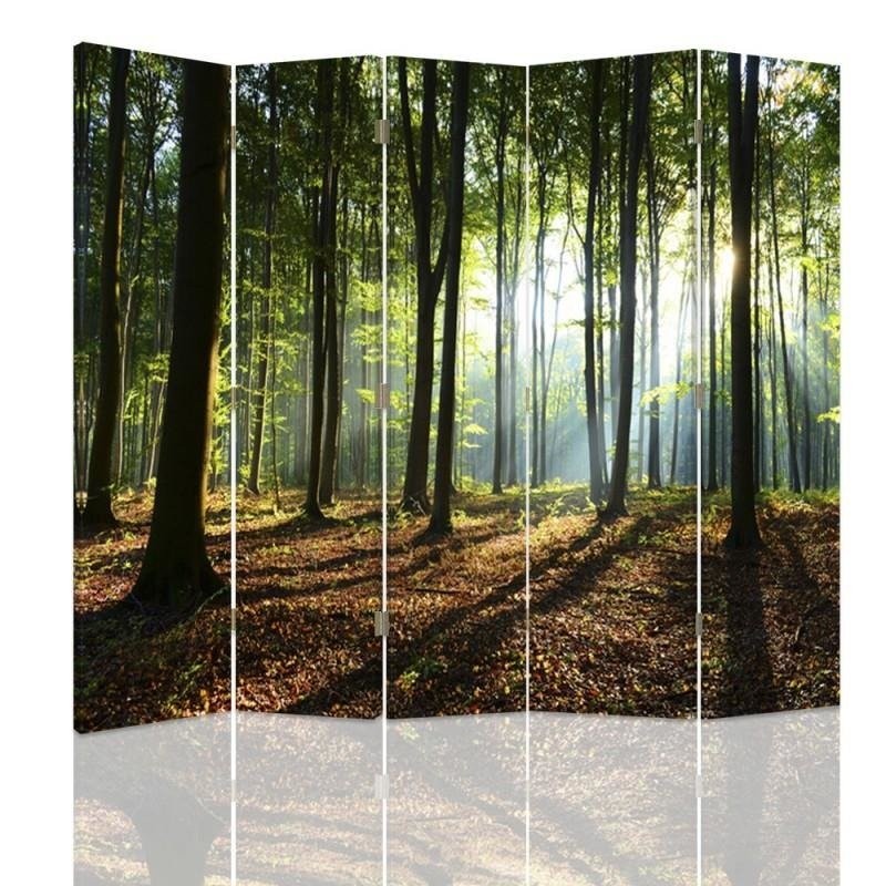 Room divider, Sun rays in the forest