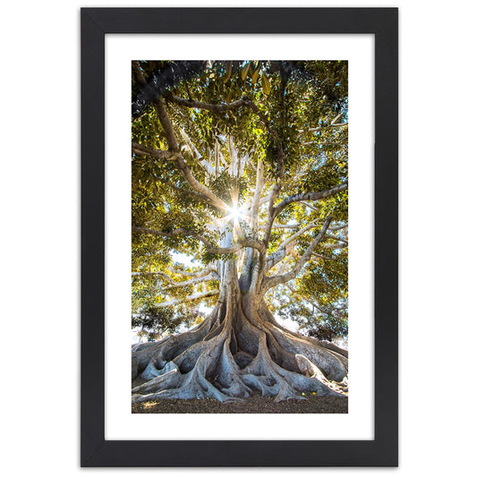 Picture in frame, Large exotic tree