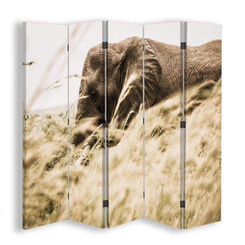 Room divider, Elephant wandering