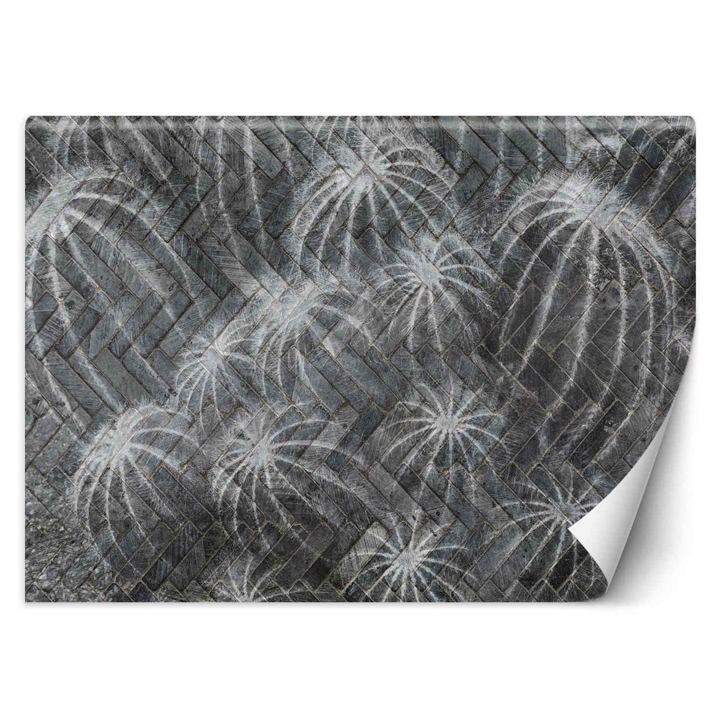 Wallpaper, Cacti in grey