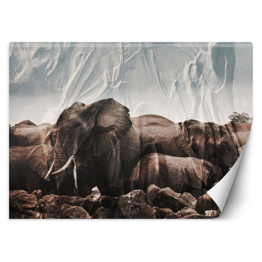 Wallpaper, Elephants in a herd