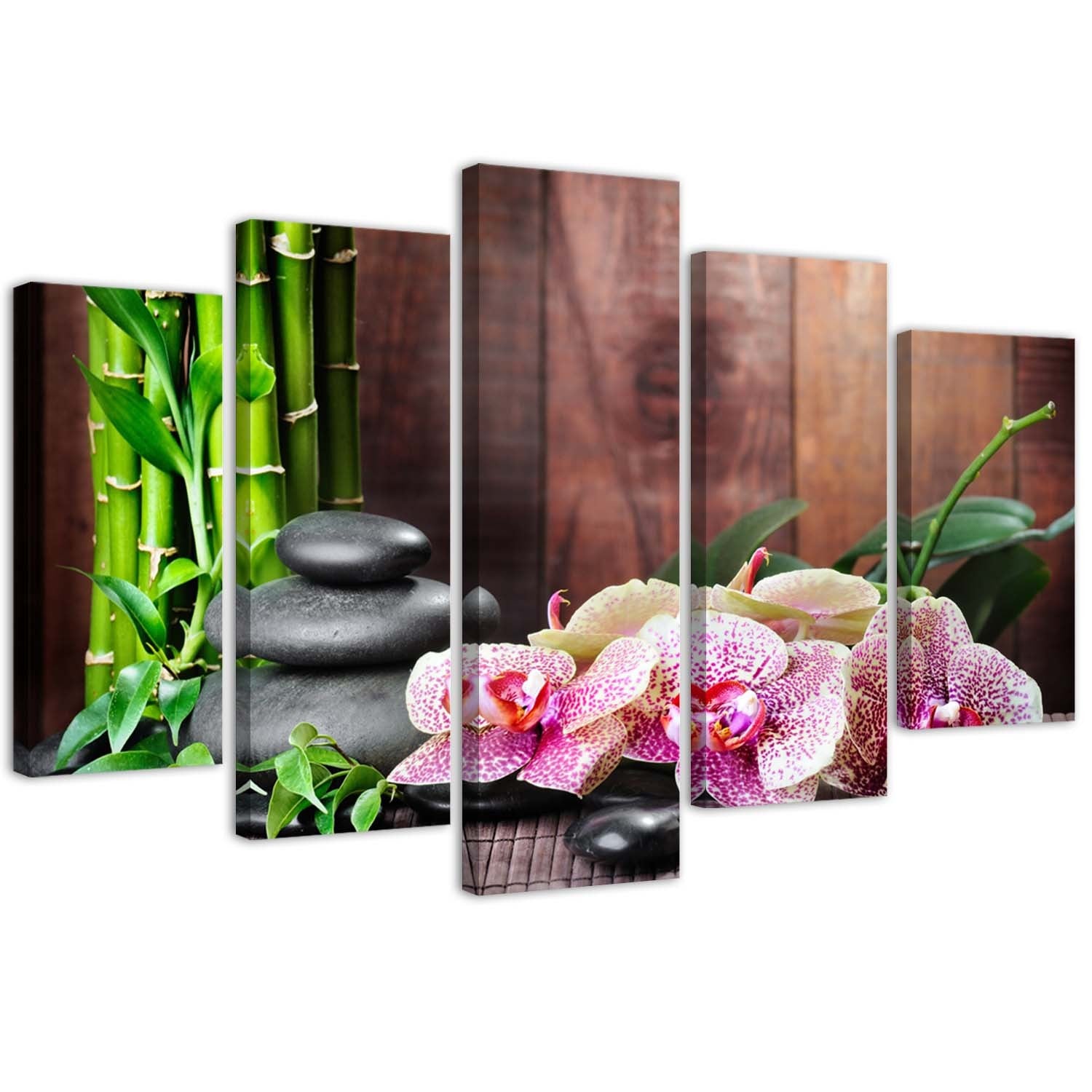 Canvas, Zen composition with orchid and bamboo