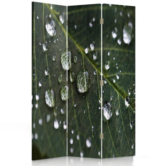 Room divider, Raindrop on a raindrop on a leaf