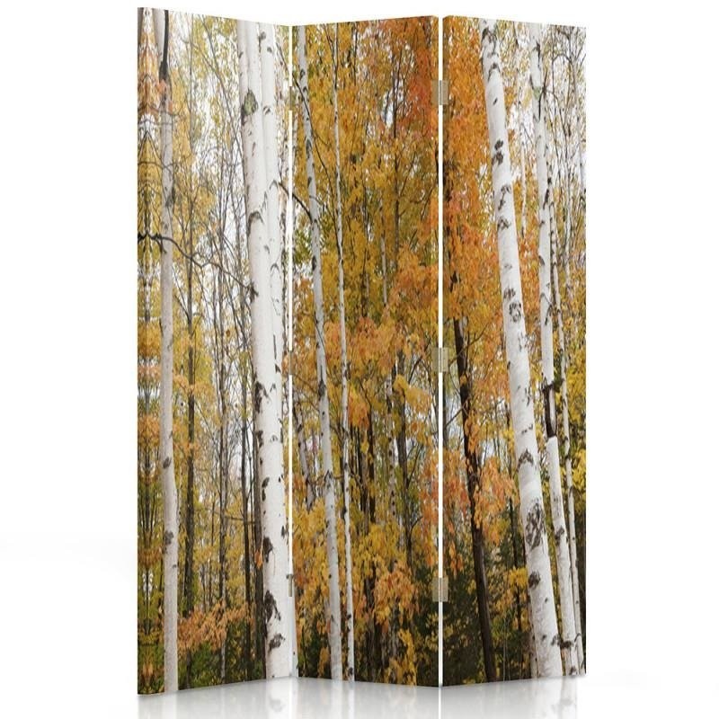 Room divider, Birch grove in autumn