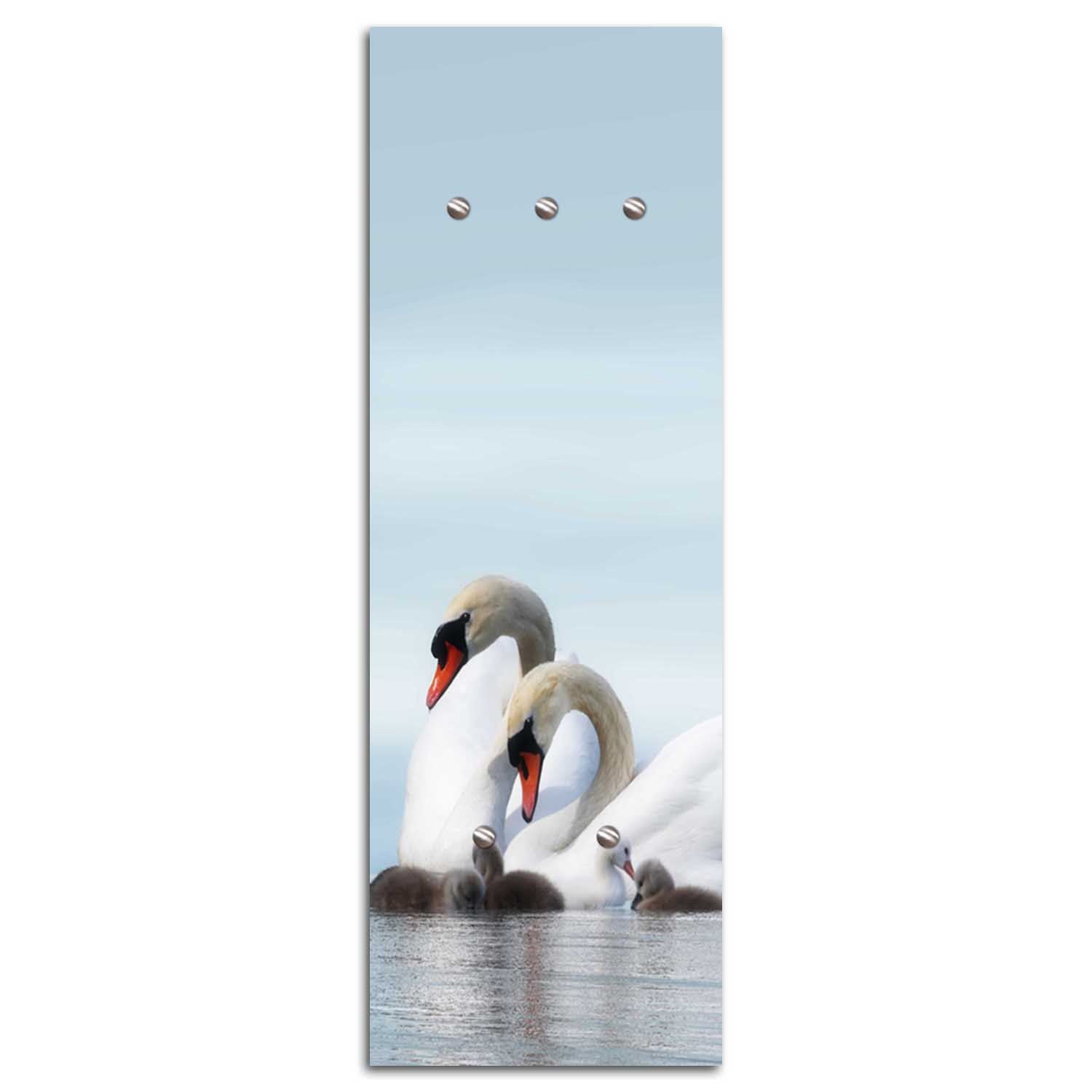 Hanger, Swans