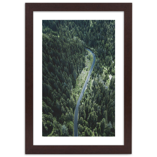 Picture in frame, Road in the forest
