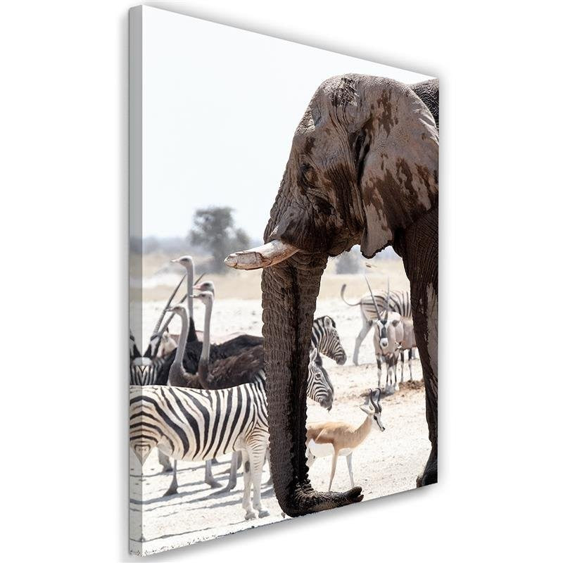 Canvas, Animals on the savannah - elephant zebras ostriches antelopes