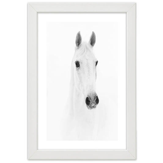 Picture in frame, Grey horse