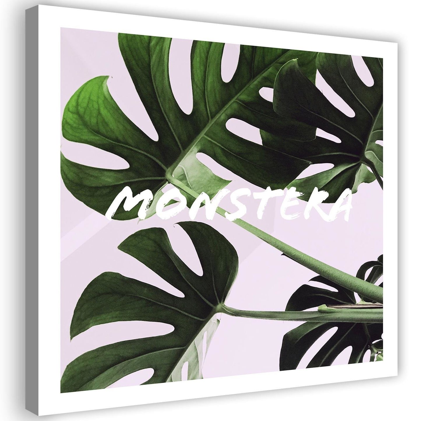 Canvas, Exotic leaves - monstera