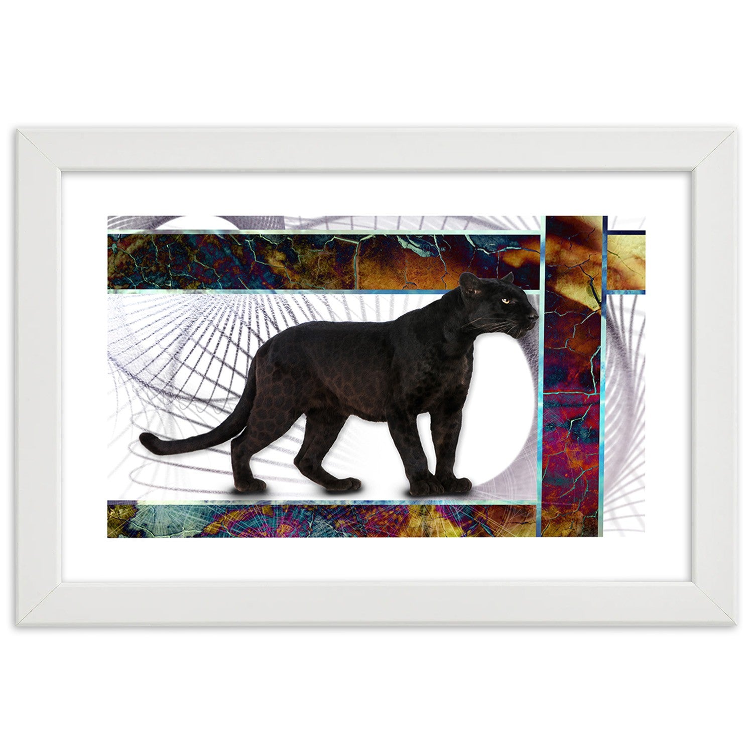 Picture in frame, Attentive panther